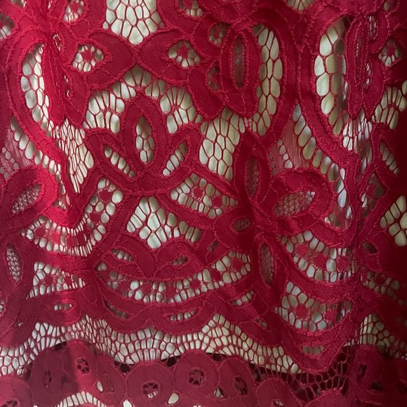 Danny & Nicole Beautiful Red Lace Dress Size 12P - Picture 5 of 7